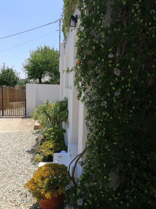 הוילה Lucainena de las Torres Casa Jardin. Vivienda Rural En Zona Tranquila. מראה חיצוני תמונה