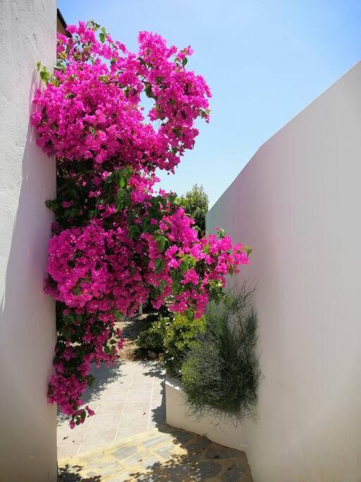 הוילה Lucainena de las Torres Casa Jardin. Vivienda Rural En Zona Tranquila. מראה חיצוני תמונה