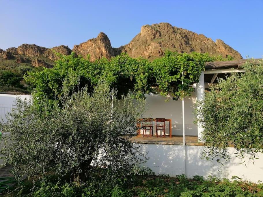 הוילה Lucainena de las Torres Casa Jardin. Vivienda Rural En Zona Tranquila. מראה חיצוני תמונה