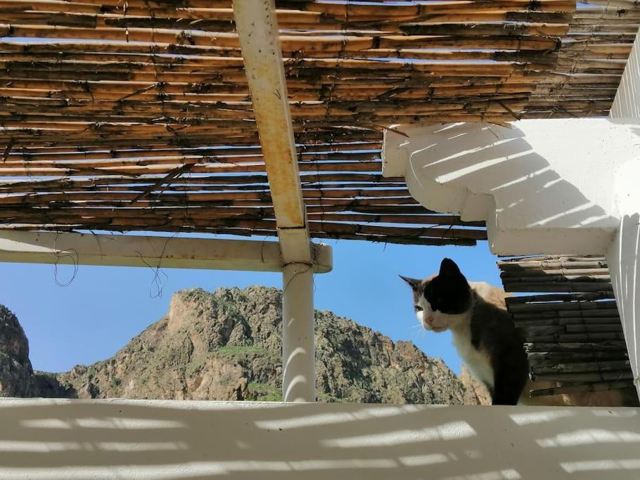 הוילה Lucainena de las Torres Casa Jardin. Vivienda Rural En Zona Tranquila. מראה חיצוני תמונה
