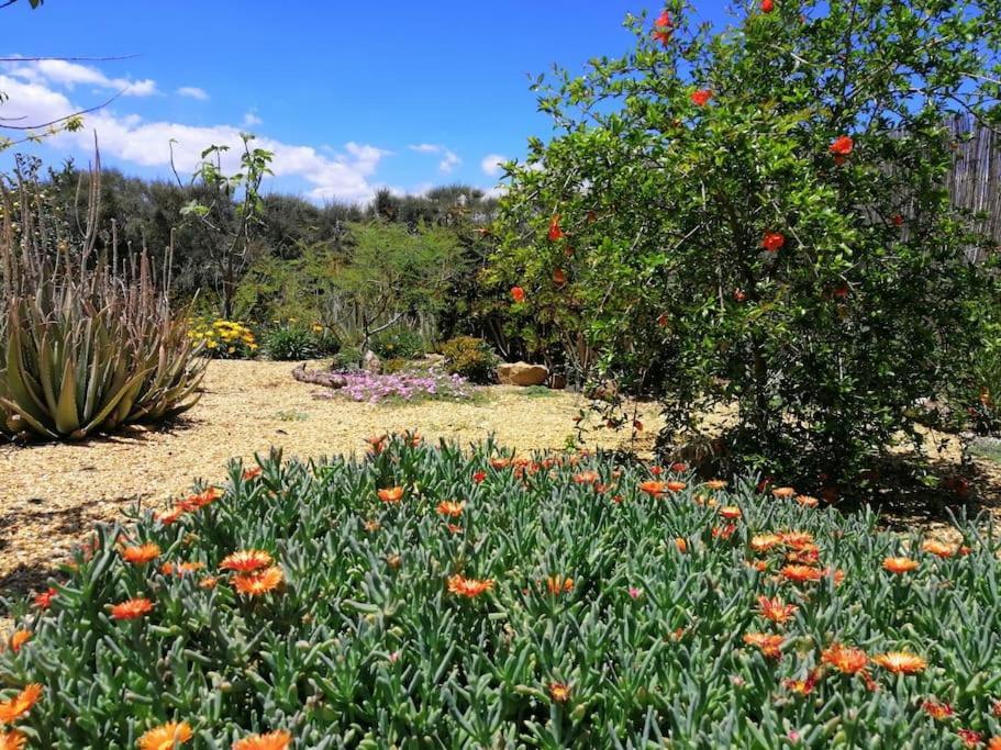 הוילה Lucainena de las Torres Casa Jardin. Vivienda Rural En Zona Tranquila. מראה חיצוני תמונה